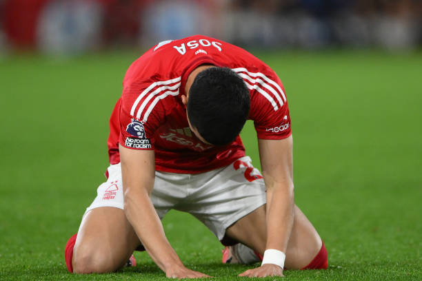 球迷与年轻 球迷与年轻